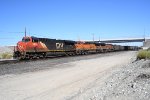 CN 2966 & BNSF 8144, 7291